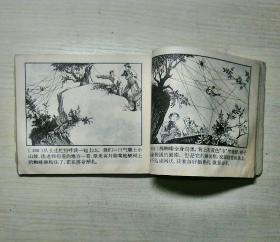 蛇岛的秘密