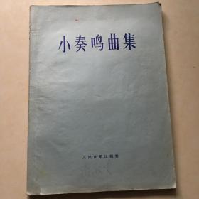 小奏鸣曲集 海顿 贝多芬 库劳等作曲 路德维希 克烈等校订与定指法