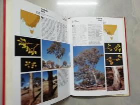 Field Guide to Eucalypts south-eastem Australia (澳大利亚东南部桉树野外指南 )