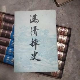 满清稗史（下）