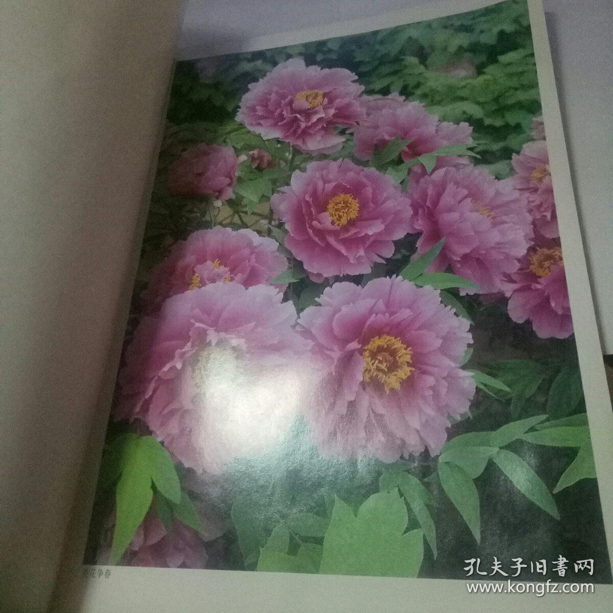 国花牡丹