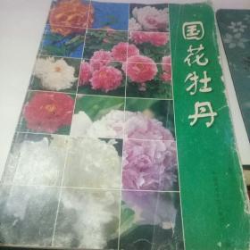 国花牡丹