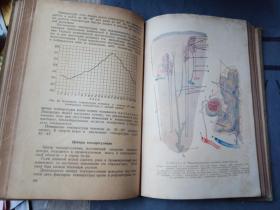 外文版医学书籍（1955年）