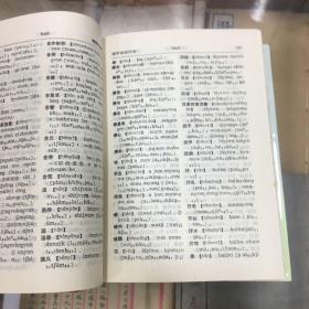 中国少数民族语言系列词典丛书 ：汉载词典 （32开 精装 92年1版1印 品好）