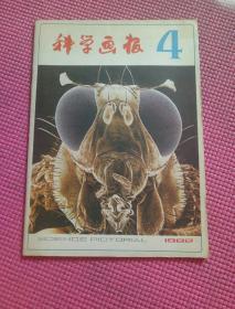 科学画报 1982年第4期