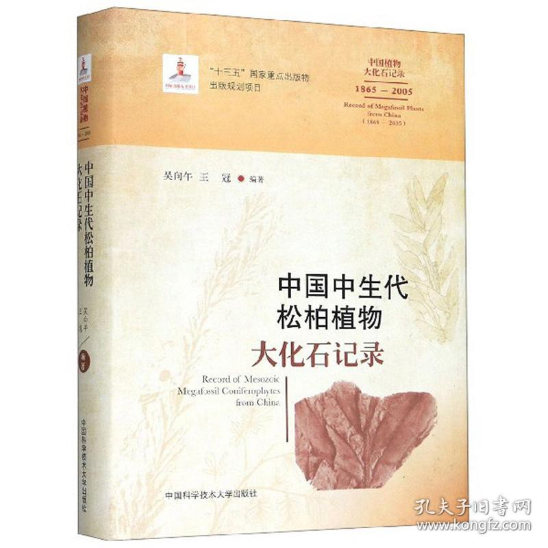 中国中生代松柏植物大化石记录