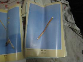 九年义务教育音乐教学挂图    几十张合售