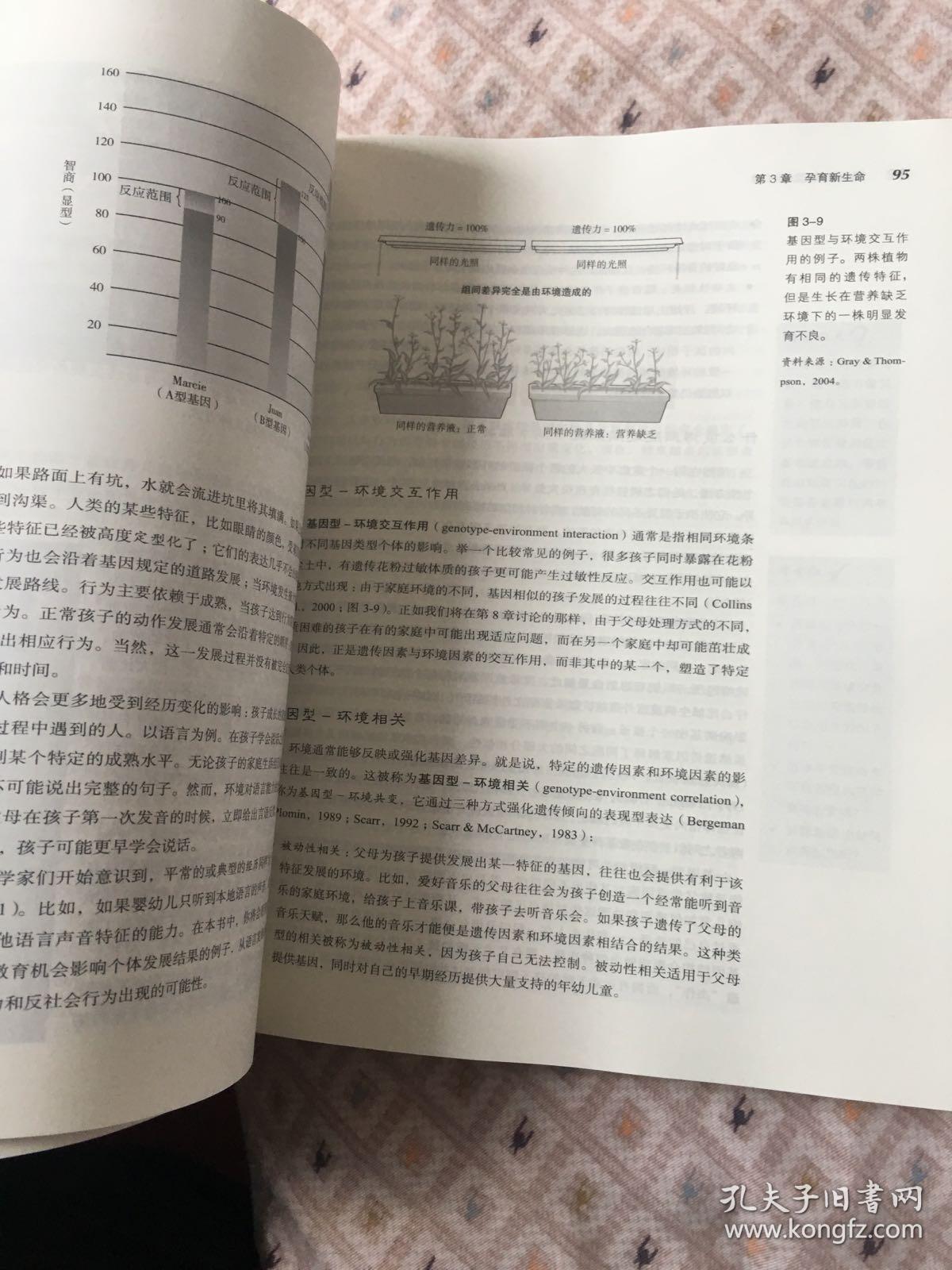 孩子的世界：从婴儿期到青春期