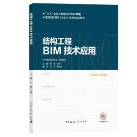 正版二手 结构工程BIM技术应用