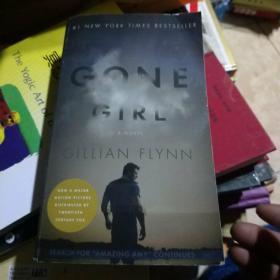 Gone Girl：A Novel