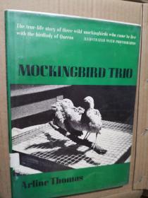 mockingbird trio　馆藏