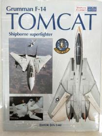 GRUMMAN F-14 Tomcat Shipborne Superfighter