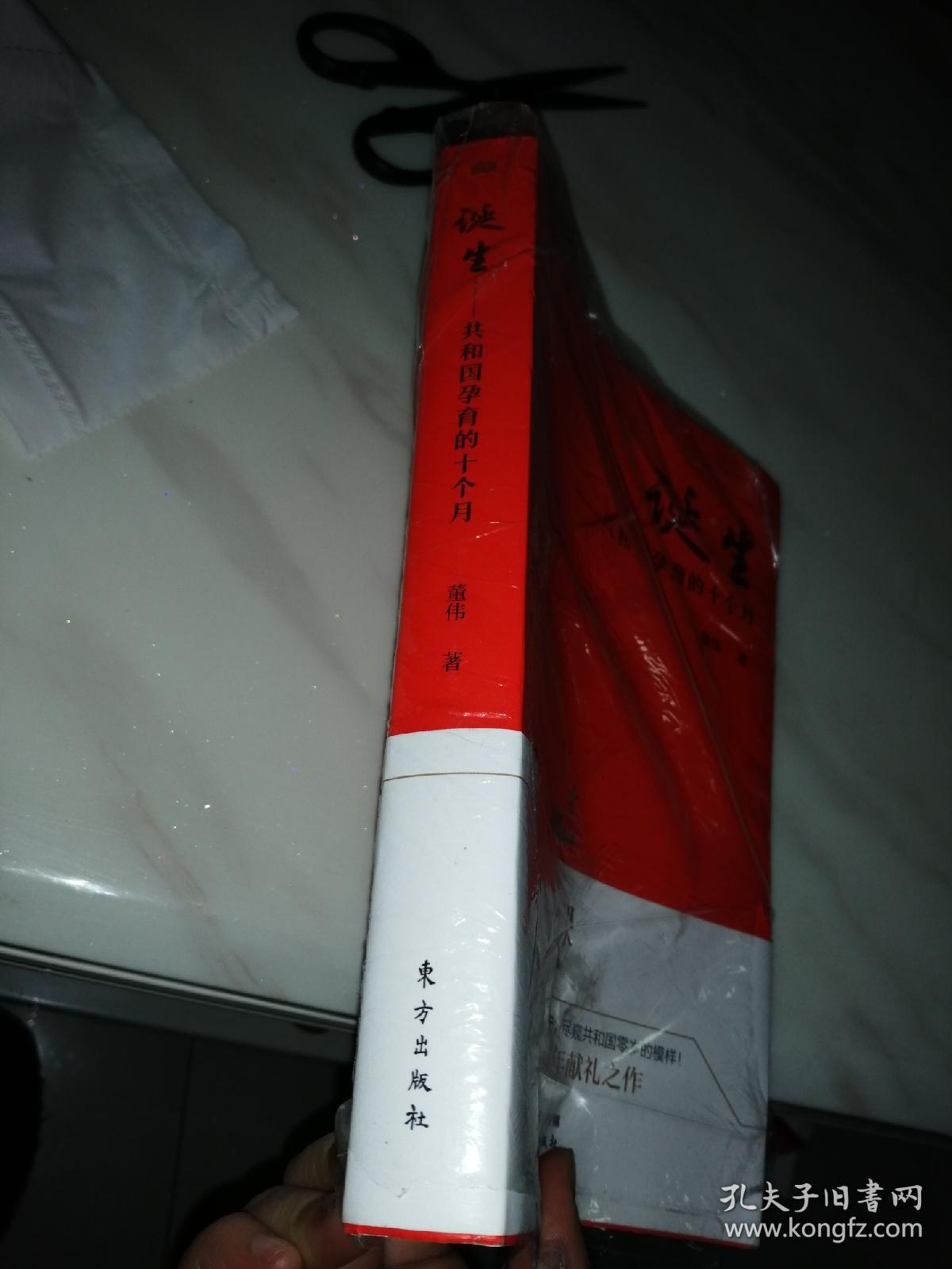 诞生：共和国孕育的十个月