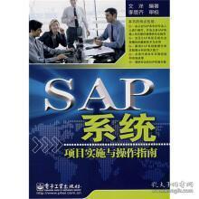 SAP系统项目实施与操作指南