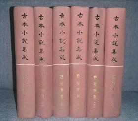 古本小说集成：野叟曝言（全六册）