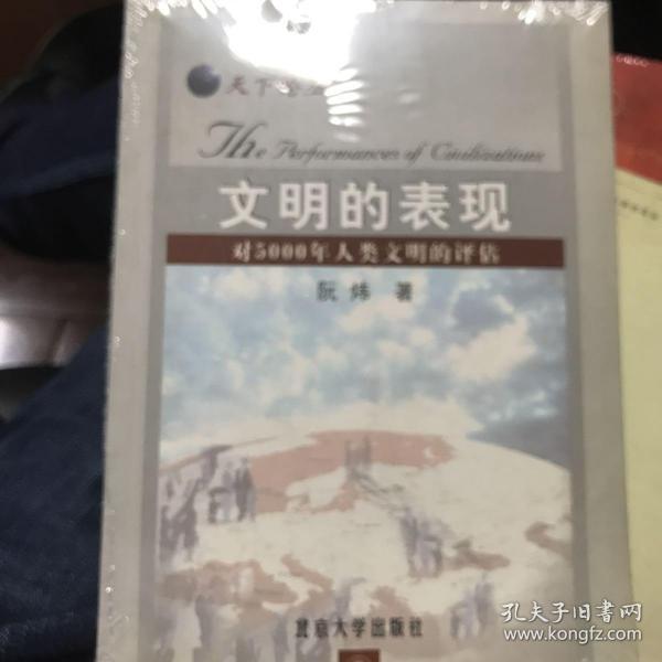 文明的表现：对5000年人类文明的评估