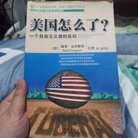 美国怎么了？：一个自由主义者的良知