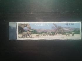 纳米比亚2003国家公园中的大象