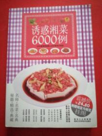 诱惑湘菜6000例