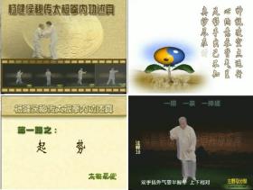 杨健侯秘传太极拳内功述真 魏树人演示教学VCD 2牒