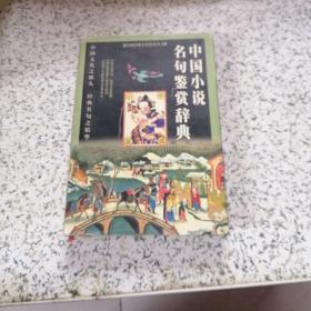 中国小说名句鉴赏辞典（精装本）