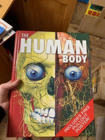 【特价】the human body