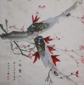 济南市美术家协会会员尹老师纯手绘四尺斗方    蝉