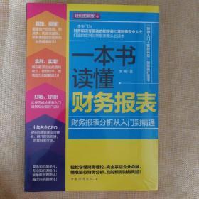 一本书读懂财务报表：财务报表分析从入门到精通