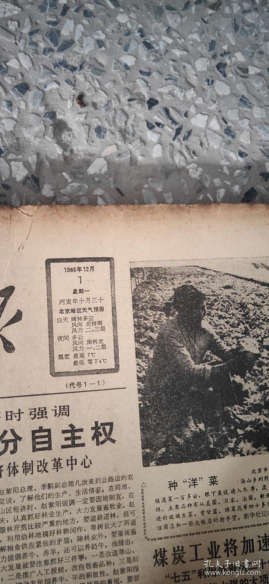 人民日报   1986年12月1日-31日 （原版报合订）