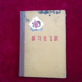 贵州解放十周年纪念丛书《都匀在飞跃》