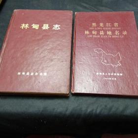 林甸縣志