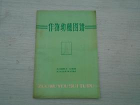 作物幼穗图谱（16开平装1本，原版正版老书。封底有水迹。详见书影。）