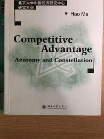 Competitive Advantage(Anatomy and Constellation)/北京大学中国经济研究中心研究系