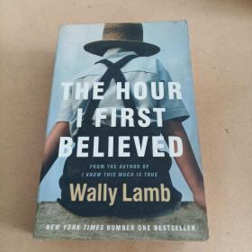 The Hour I First Believed: A Novel（英文 原版）