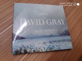 LIFE  IN  DAVID  GRAY    音乐光盘一张