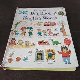 Big Book of English Words（英文原版）