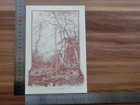 【现货 包邮】1890年小幅木刻版画《在桦树下》(unter den birken)尺寸如图所示（货号400546）