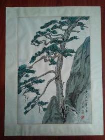 海上画家山逸：黄山天都峰古松 画芯45/35