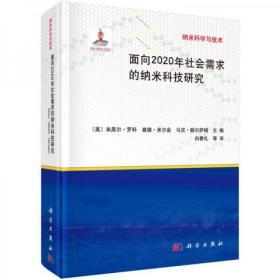 纳米科学与技术：面向2020年社会需求的纳米科技研究