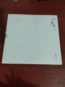 慧缘 (12开大型画集)未拆封