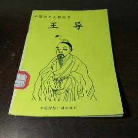 中国历史人物丛书：王导