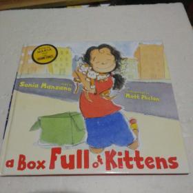 a Box FUII of KIttens