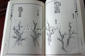 芥子园画传 芥子园画谱 树石泉云 中国书店出版社