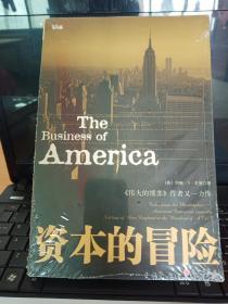 资本的冒险