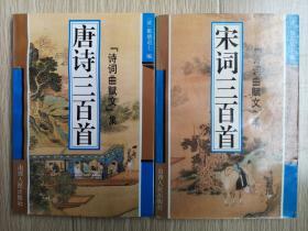 《唐诗三百首诗》+《宋词三百首诗》，两本合计10元！