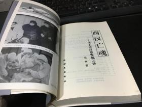 中国文化史探秘丛书(第二辑) 西汉亡魂-马王堆汉墓发掘之谜