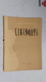 小提琴独奏曲 毛主席关怀咱山里人