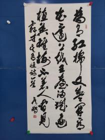 231 书法中央国家机关书法家协会副主席，中国书法家协会会员  袁彦鹏 69*137 品如图