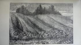 1890年 The World's Foundations: Geology For Beginners 科普经典《世界之基：图本少儿地理》多张珂罗版手工套色雕版版画插图 树纹小牛皮名坊Bickers装桢