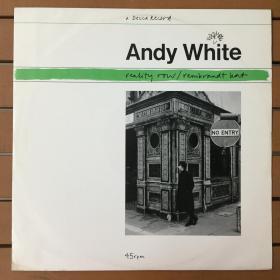ANDY WHITE 黑胶唱片LP